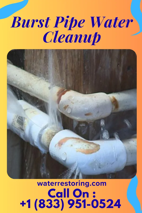 Burst Pipe Water Cleanup in Park Hills, KY