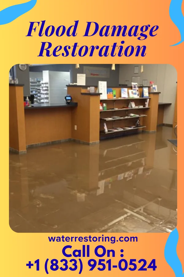 Flood Damage Restoration in Park Hills, KY