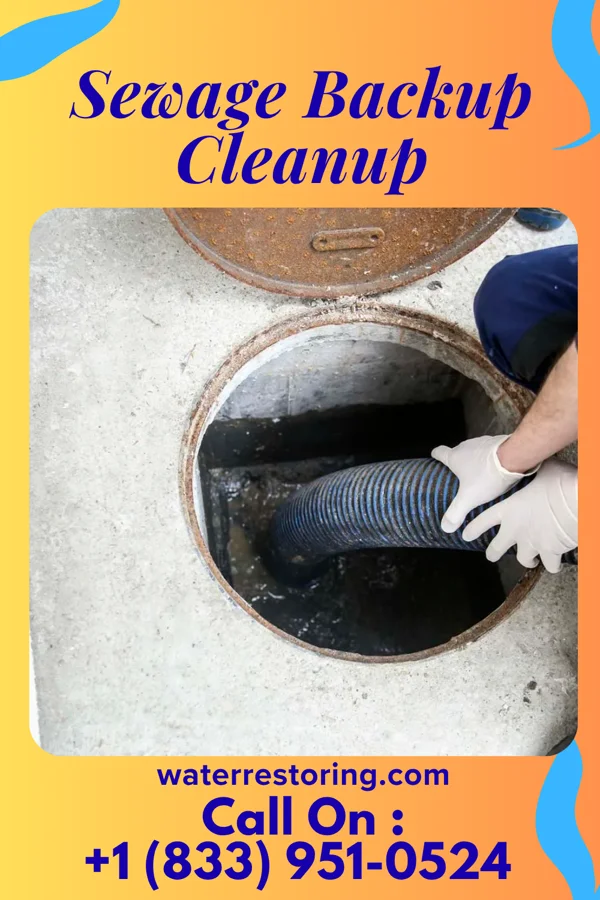 Sewage Backup Cleanup in Park Hills, KY