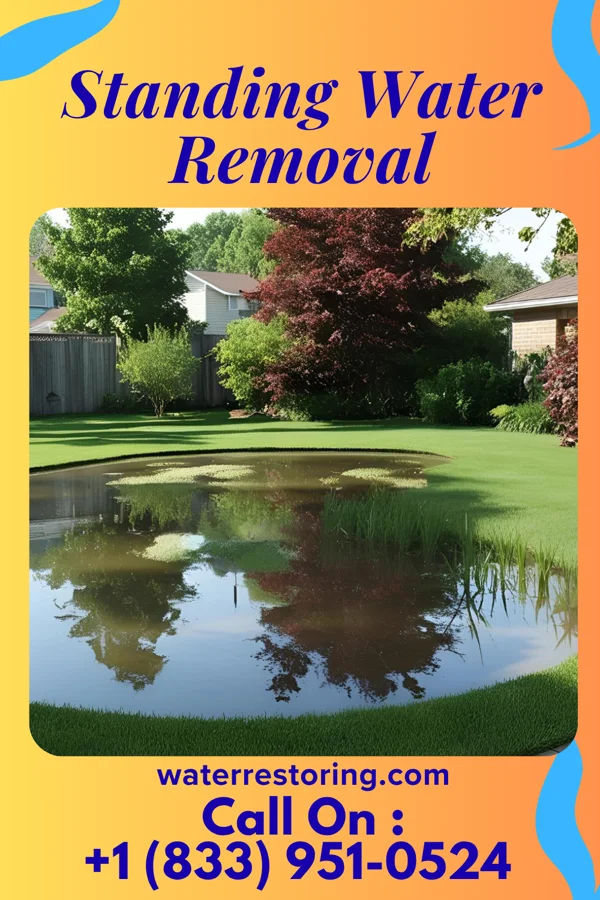Standing Water Removal in Park Hills, KY